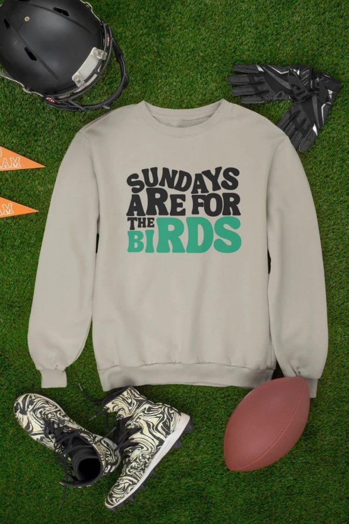 sundays are for birds football sweatshirt
