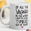 Of All the Vaginas in the World I Am mug