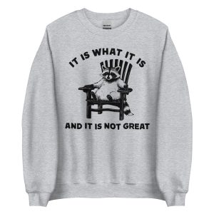 it is what it is raccoon sweatshirt