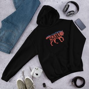 life is strange 2 hoodie